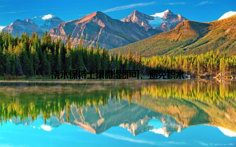 浇水保持土壤微湿即可, 避免积水