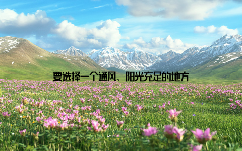 要选择一个通风、阳光充足的地方