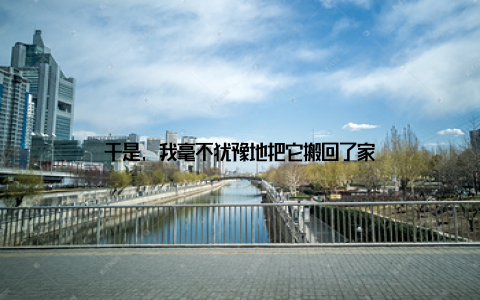 于是, 我毫不犹豫地把它搬回了家