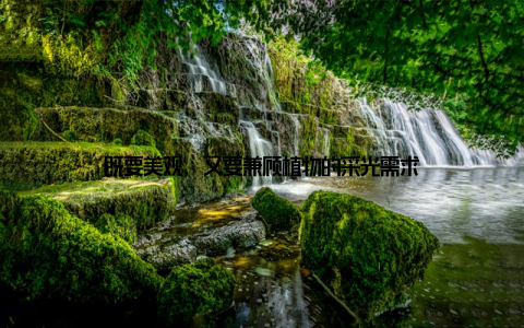 既要美观, 又要兼顾植物的采光需求