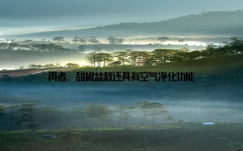 再者, 甜椒盆栽还具有空气净化功能