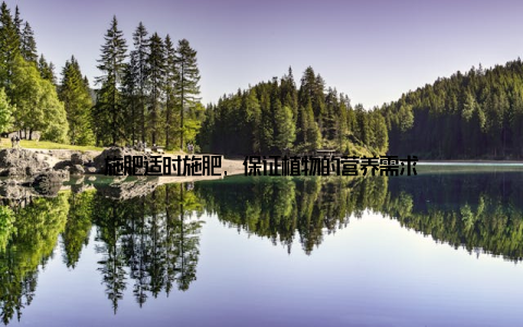 施肥适时施肥, 保证植物的营养需求