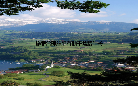 施肥合理施肥有助于盆栽生长