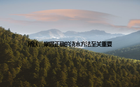 所以, 掌握正确的浇水方法至关重要