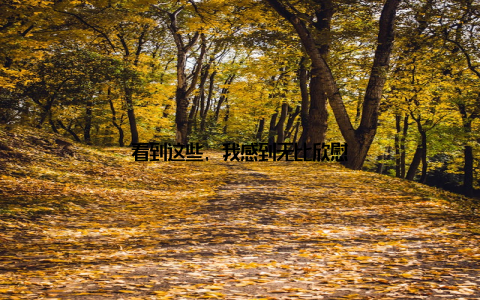 看到这些, 我感到无比欣慰