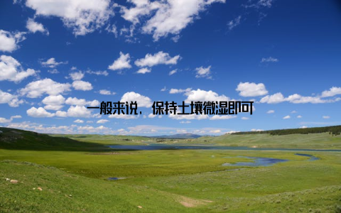 一般来说, 保持土壤微湿即可