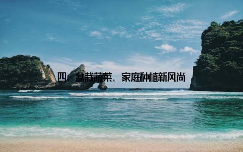 四、盆栽蔬菜, 家庭种植新风尚