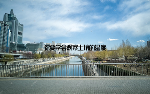 你要学会观察土壤的湿度