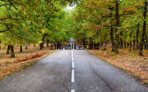 土壤的选择至关重要