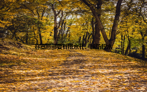 容器底部要有排水孔, 以防积水