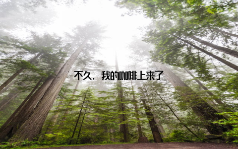 不久, 我的咖啡上来了