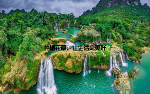 种植花草, 让生活更美好