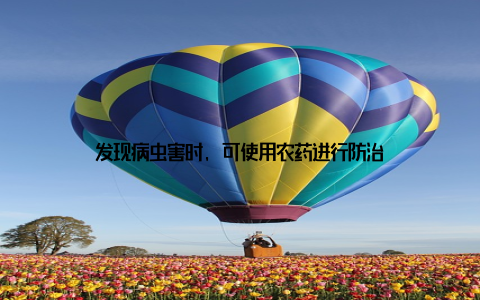 发现病虫害时, 可使用农药进行防治