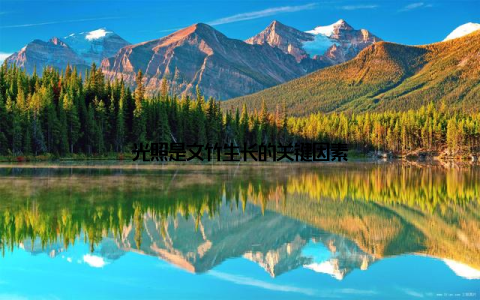 光照是文竹生长的关键因素