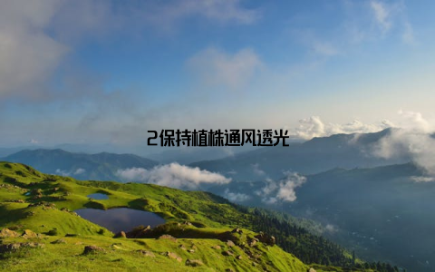 2保持植株通风透光