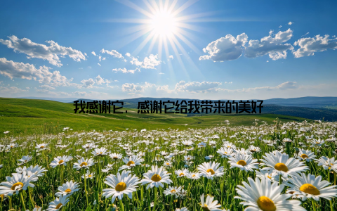 我感谢它, 感谢它给我带来的美好