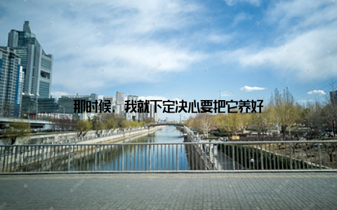 那时候, 我就下定决心要把它养好