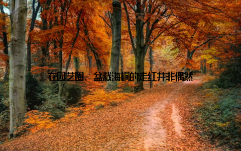 在园艺圈, 盆栽海桐的走红并非偶然