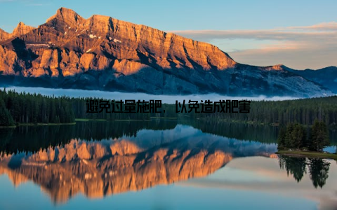 避免过量施肥, 以免造成肥害