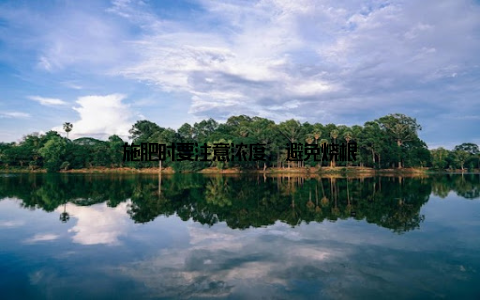 施肥时要注意浓度, 避免烧根