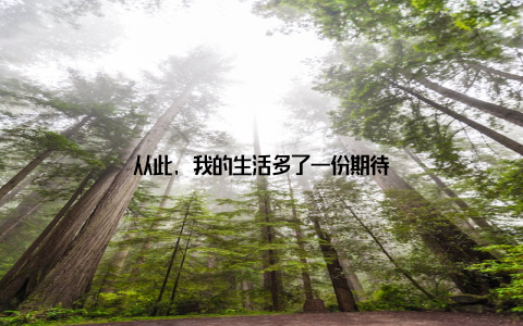 从此, 我的生活多了一份期待