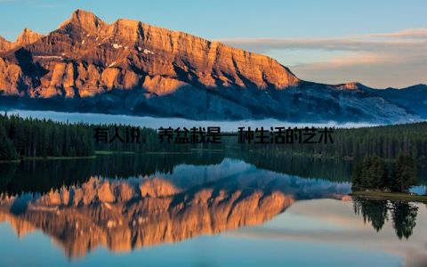 有人说, 养盆栽是一种生活的艺术