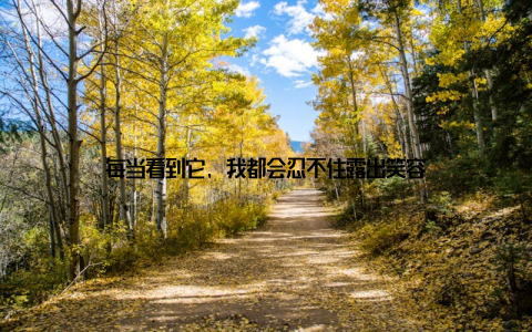 每当看到它, 我都会忍不住露出笑容