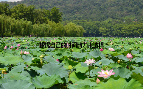 根据自己的时间精力来选择