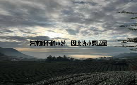 海棠树不耐水涝, 因此浇水要适量