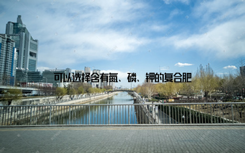 可以选择含有氮、磷、钾的复合肥