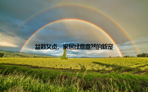 盆栽女贞, 家居绿意盎然的新宠