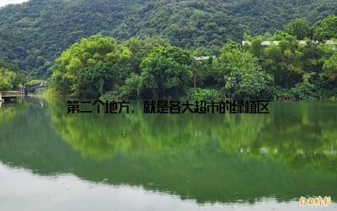 第二个地方, 就是各大超市的绿植区