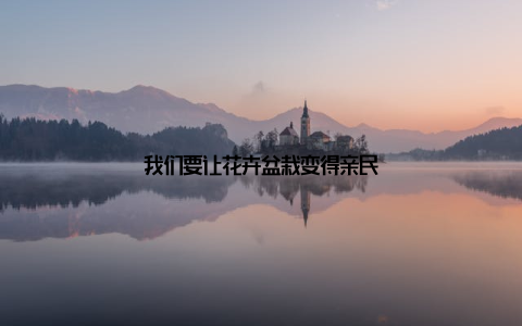 我们要让花卉盆栽变得亲民