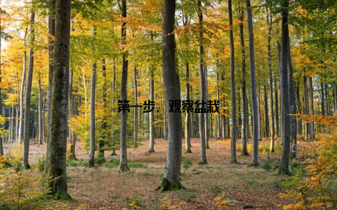 第一步, 观察盆栽