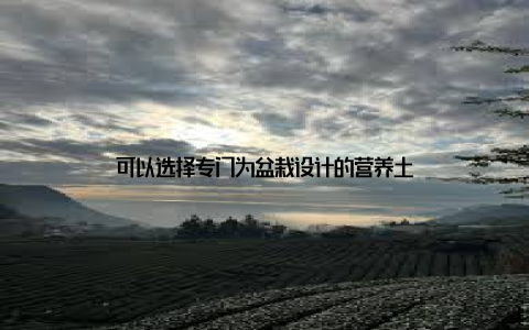 可以选择专门为盆栽设计的营养土