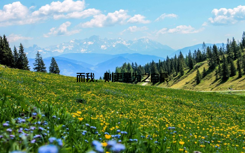 而我, 则更是为之自豪