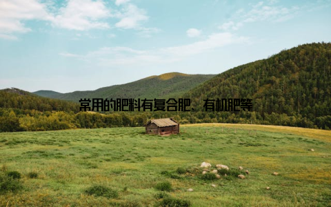 常用的肥料有复合肥、有机肥等