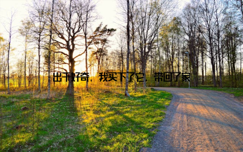 出于好奇, 我买下了它, 带回了家