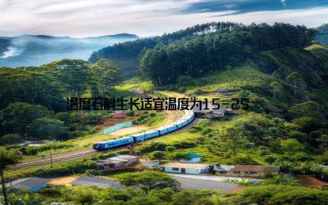 温度石斛生长适宜温度为15-25℃