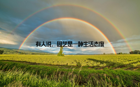 有人说, 园艺是一种生活态度