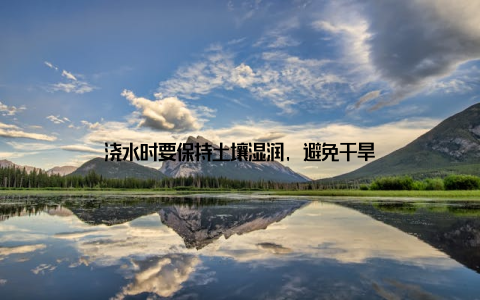 浇水时要保持土壤湿润, 避免干旱