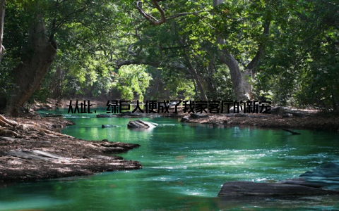 从此, 绿巨人便成了我家客厅的新宠