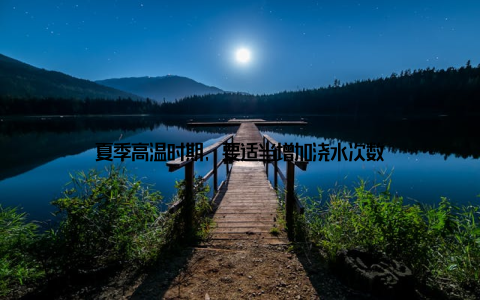 夏季高温时期, 要适当增加浇水次数