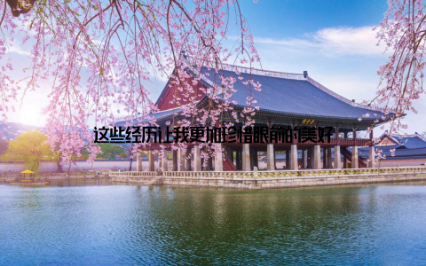 这些经历让我更加珍惜眼前的美好