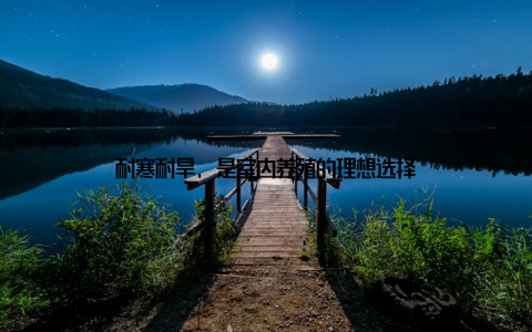 耐寒耐旱, 是室内养殖的理想选择