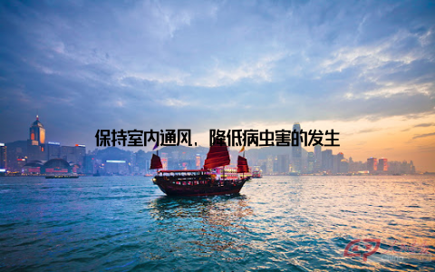 保持室内通风, 降低病虫害的发生