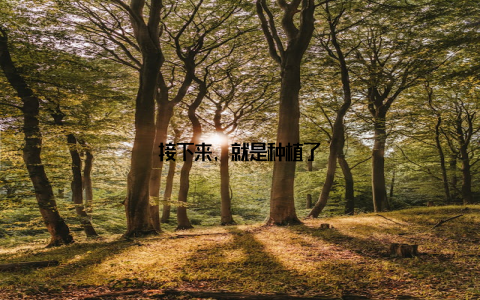 接下来, 就是种植了