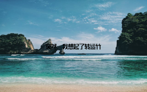 突然, 我想起了转运竹