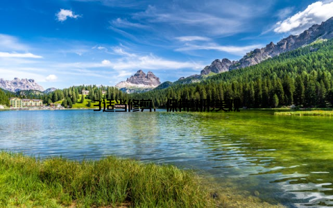 3适当修剪, 保持树形美观