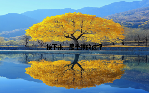 接下来, 是土壤的选择